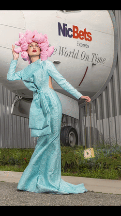 Curlers and Spider in Los Angeles