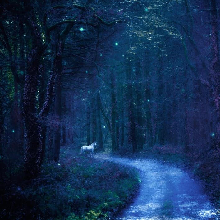 Turning photos into fairy tales
