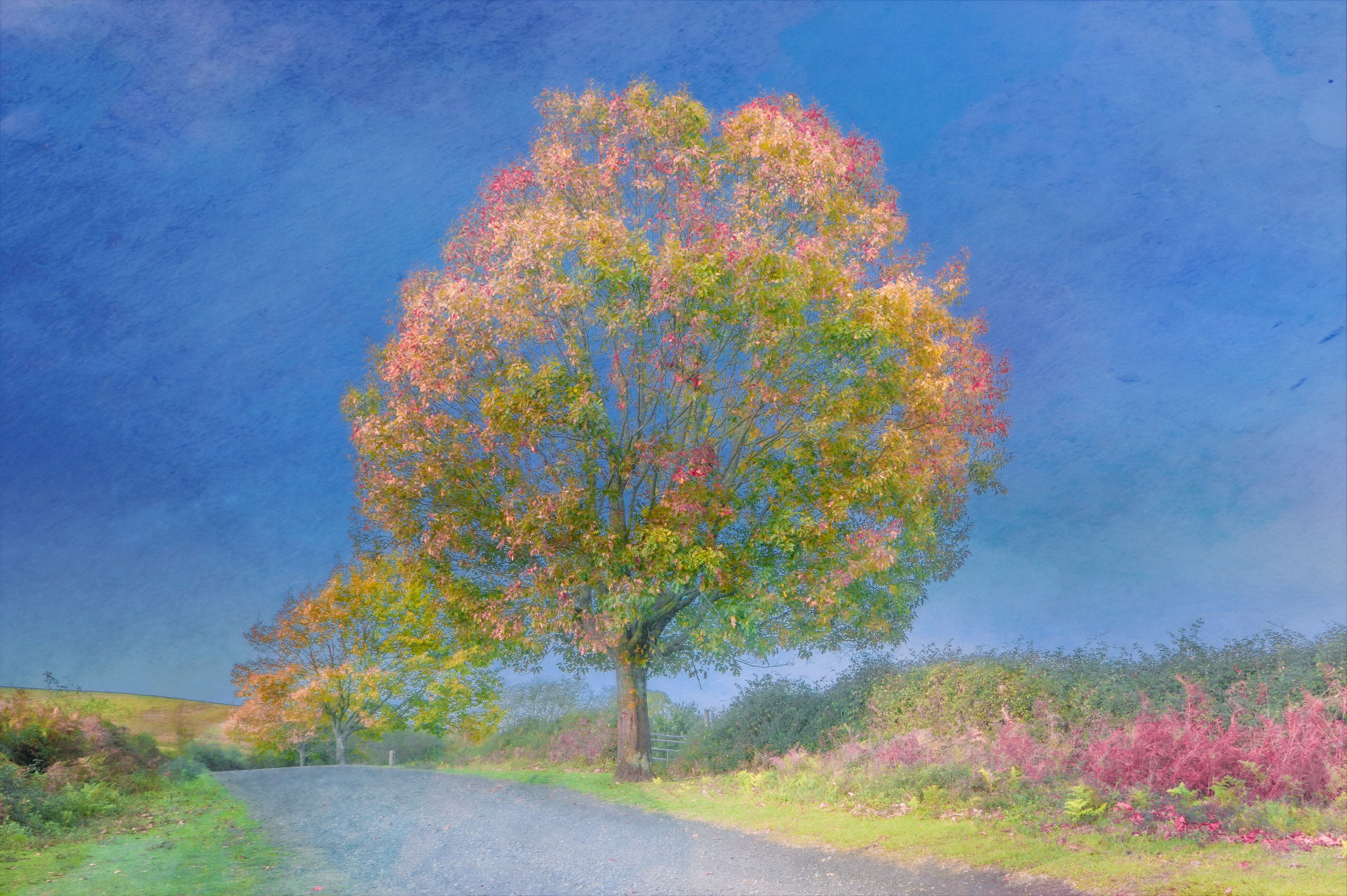 The Sound Of Seasons